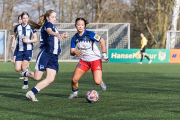 Bild 243 - wBJ Hamburger SV - Hertha BSC : Ergebnis: 2:1